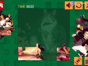 Funny Cats Puzzle